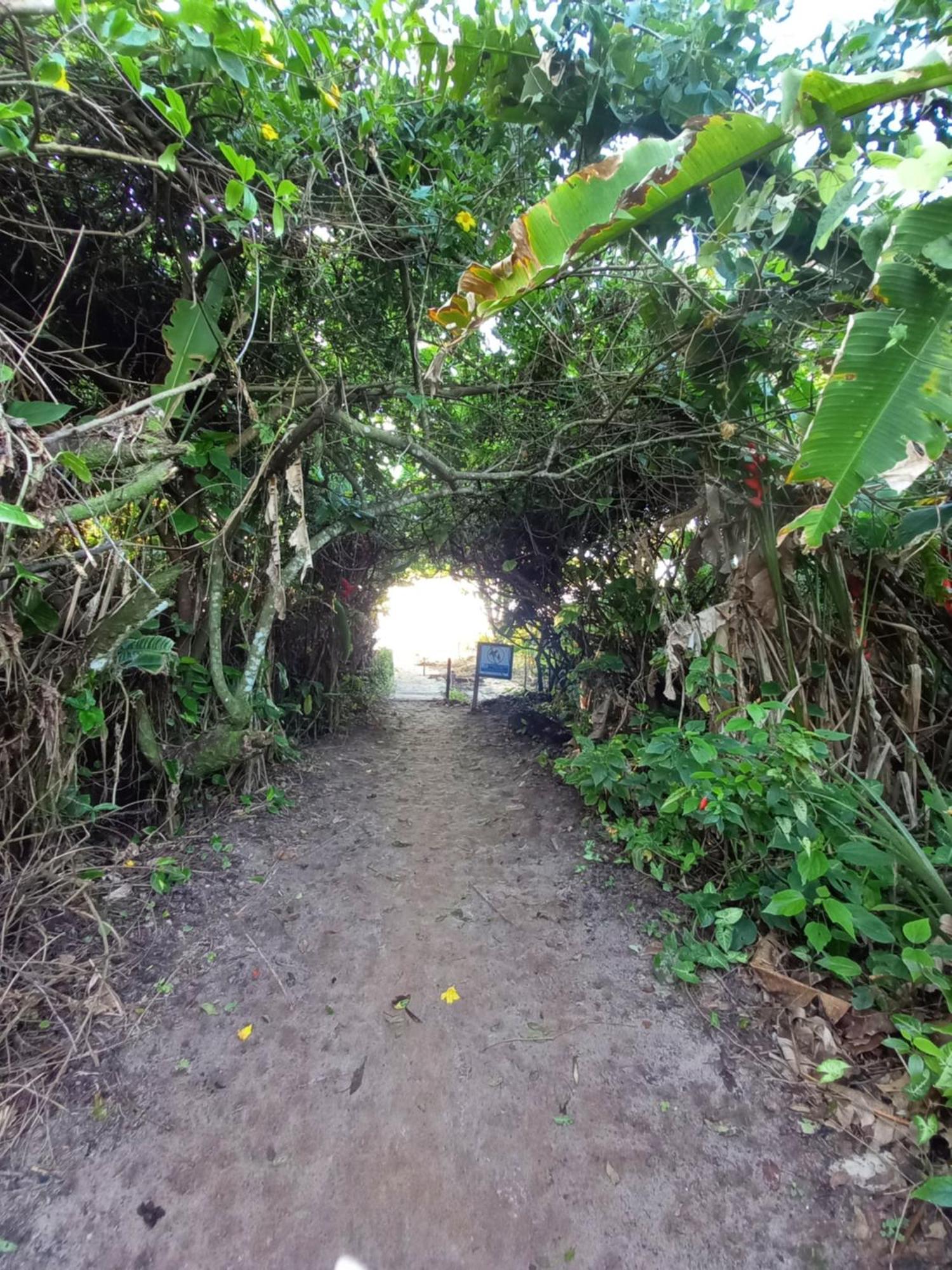 Suite No Condominio Itamambuca - Muito Perto Da Praia !!! Ubatuba Eksteriør bilde