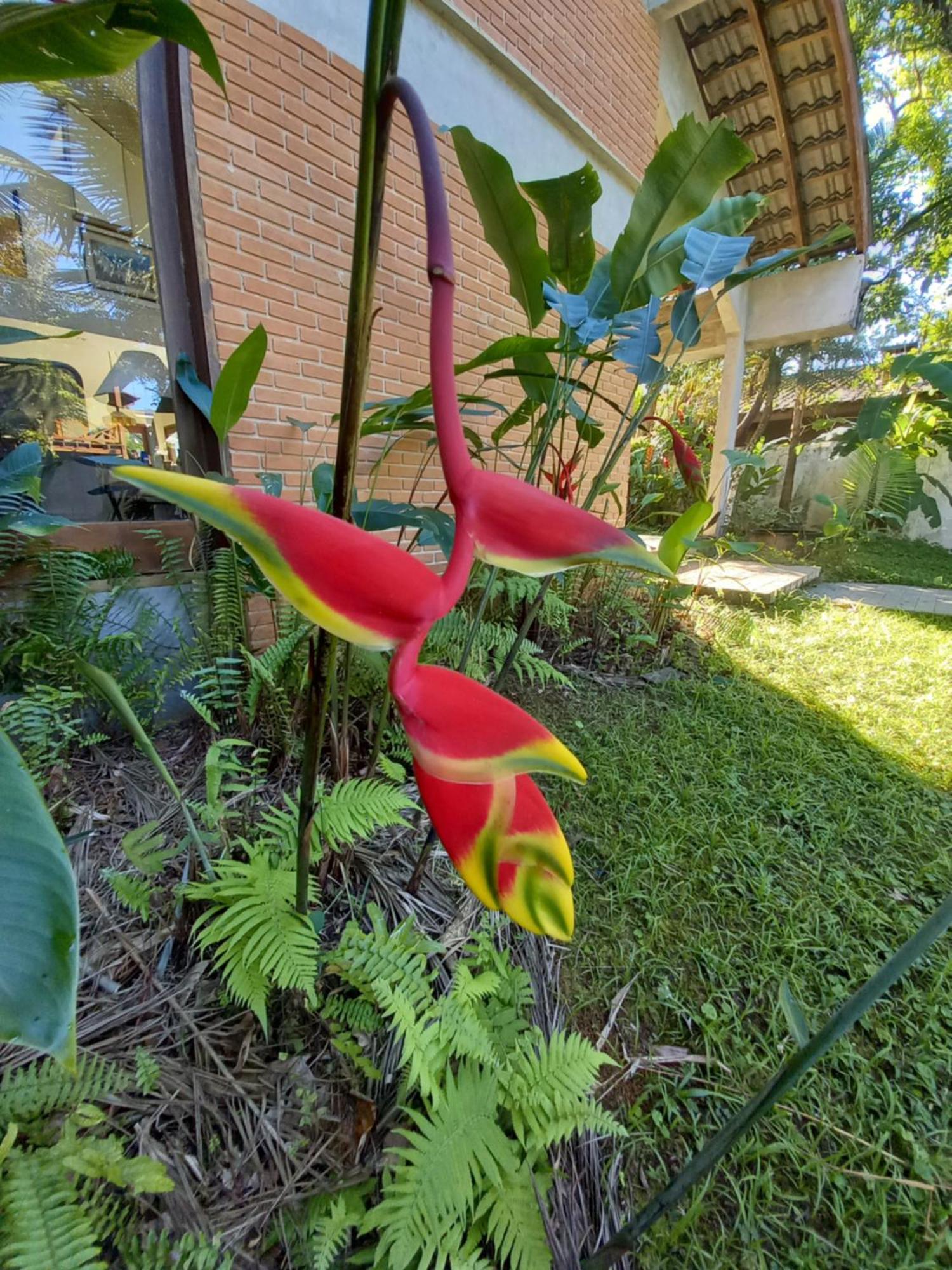 Suite No Condominio Itamambuca - Muito Perto Da Praia !!! Ubatuba Eksteriør bilde