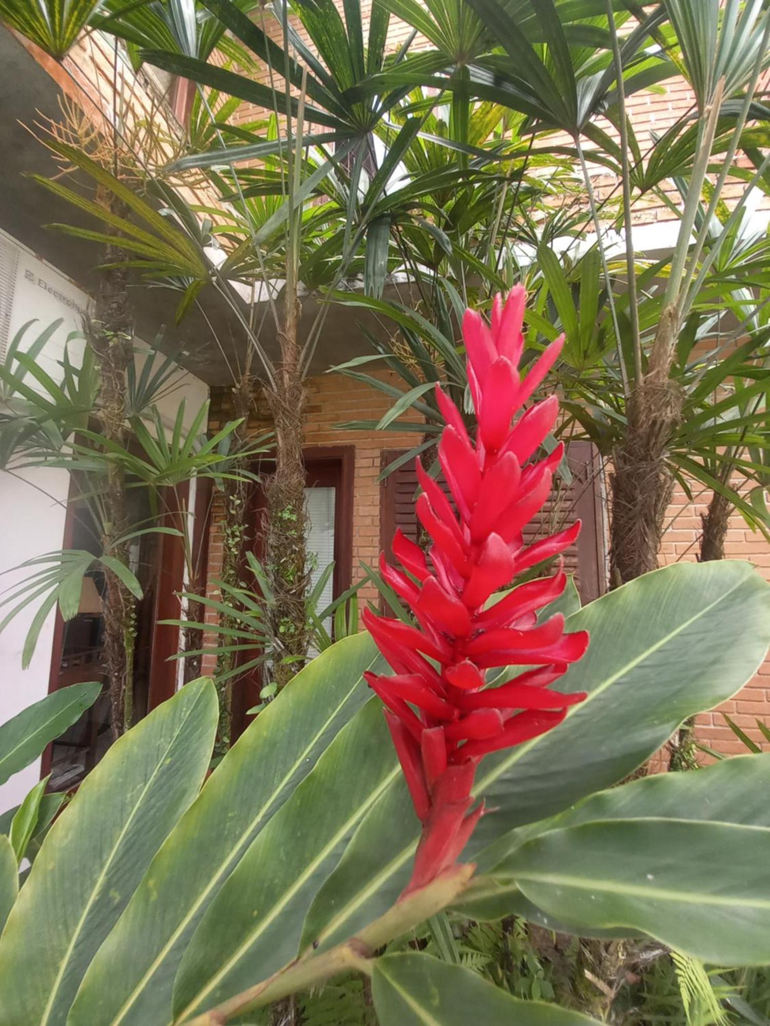 Suite No Condominio Itamambuca - Muito Perto Da Praia !!! Ubatuba Eksteriør bilde
